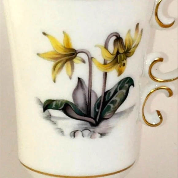 Royal Worchester Alpine Flowers Bone China Coffee Tea Cups - Picture 2 of 5